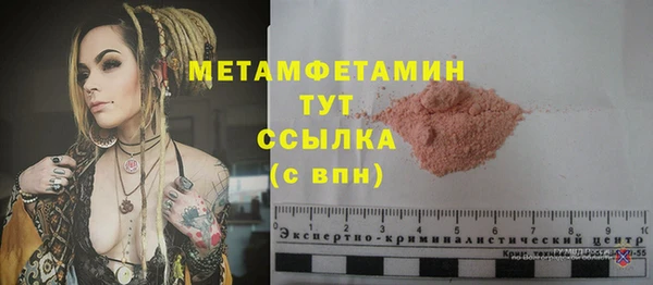 молекула духа Ладушкин