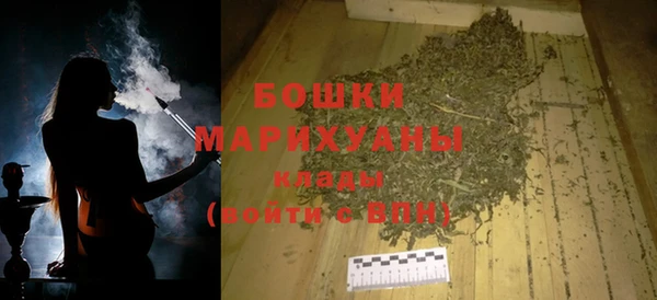 молекула духа Ладушкин