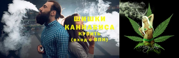 молекула духа Ладушкин