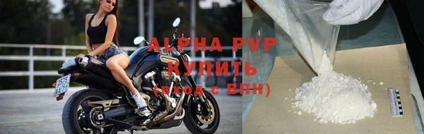 молекула духа Ладушкин