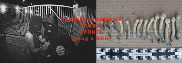 прущая мука Лагань