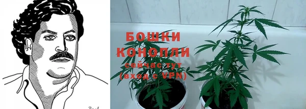 2c-b Лабытнанги
