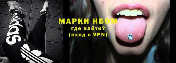 молекула духа Ладушкин