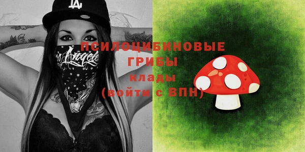 молекула духа Ладушкин