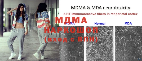 молекула духа Ладушкин