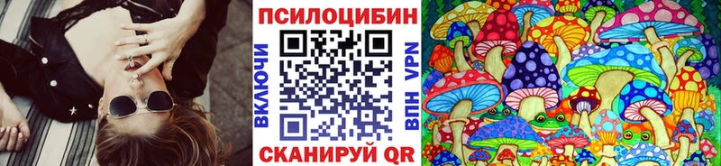 Псилоцибиновые грибы мухоморы  магазин продажи наркотиков  Дубна 