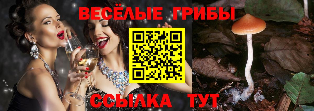 Дубна  Псилоцибиновые грибы Psilocybine cubensis  Вход с VPN 