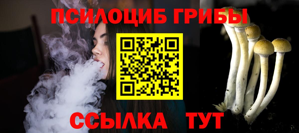 Псилоцибиновые грибы Magic Shrooms Дубна